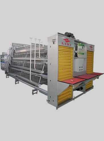 A-Type-Layer-Battery-Cages
