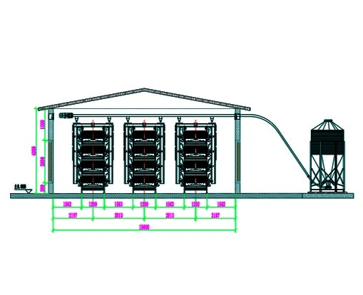 20,000 Broilers Efficient Farm