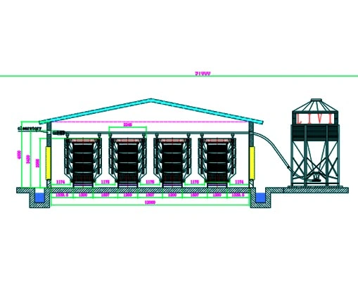 50,000 Chick Brooder Farm