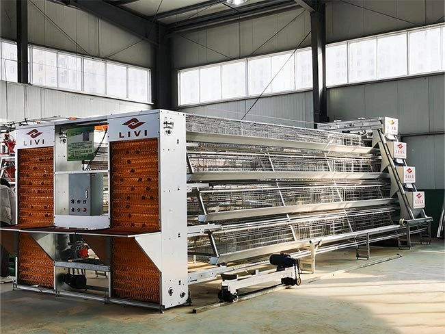 A-Type Layer Chicken Cage