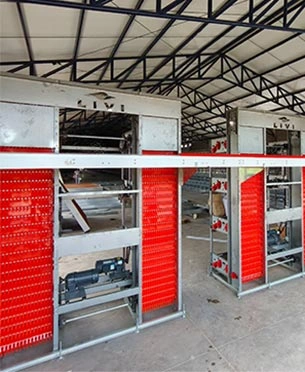 Egg Collection System