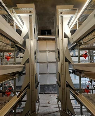 Automatic Feeding Machine