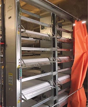 Manure Cleaning System