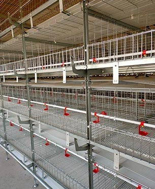 Nipple Drinking System