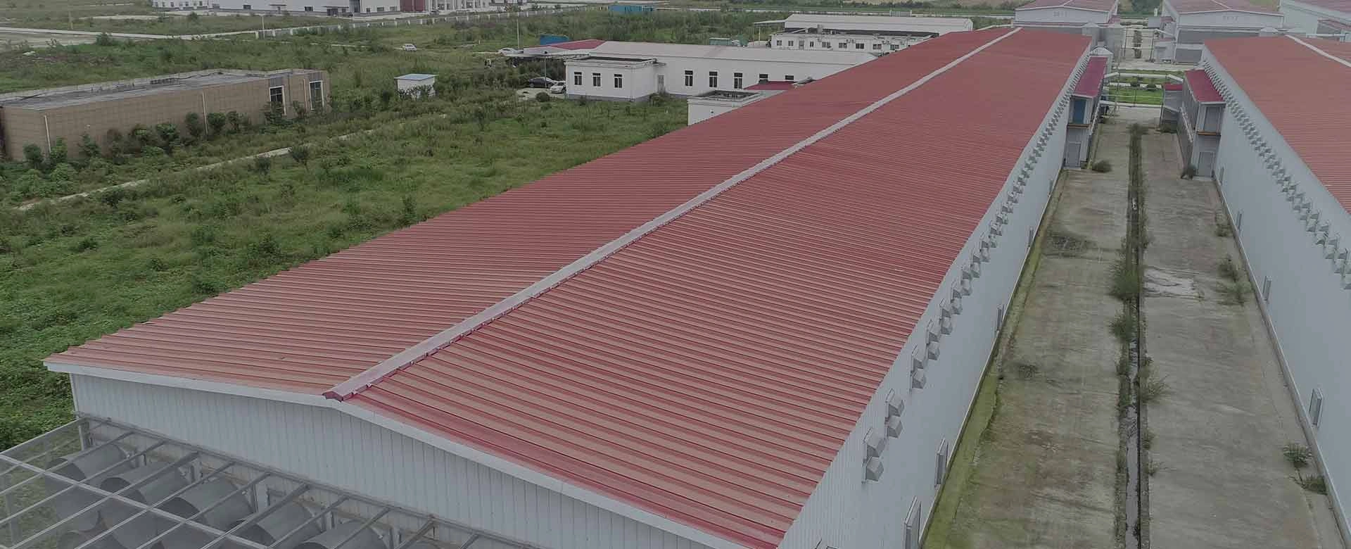 LIVI Chicken Cage Solutions