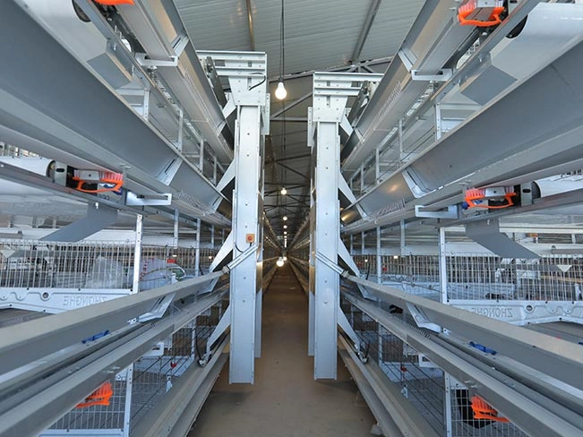 H-Type Layer Battery Chicken Cage