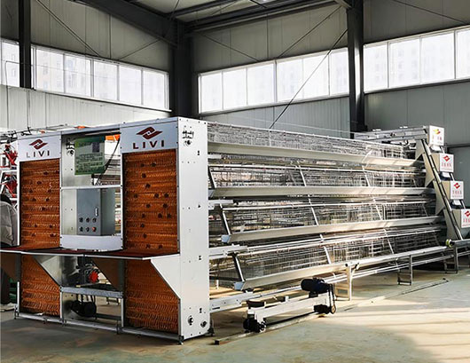 livi poultry farming equipment