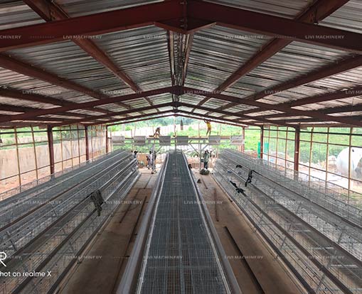 broiler floor raising system