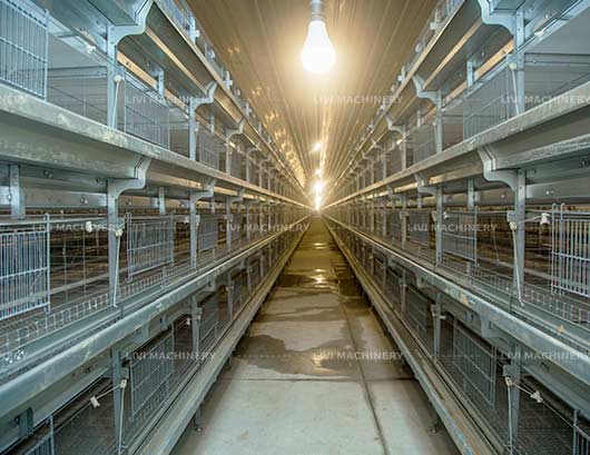 livi poultry farming equipment