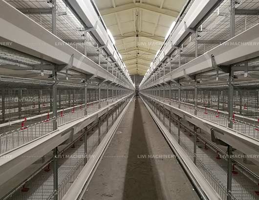 livi poultry farming equipment