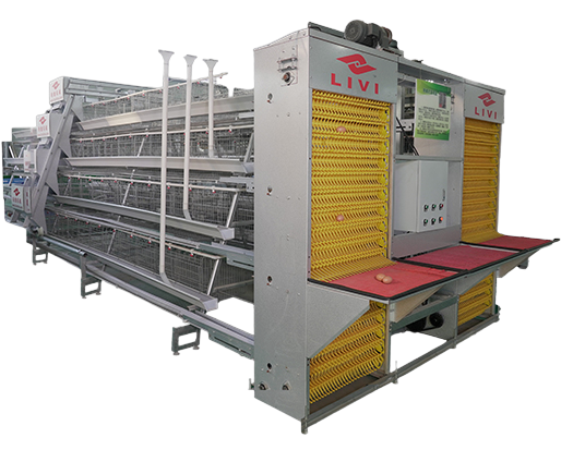 livi poultry farming equipment