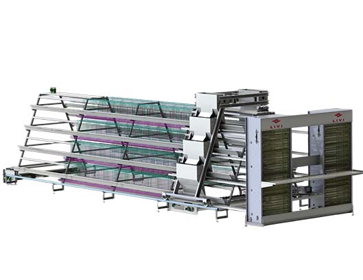 livi poultry farming equipment