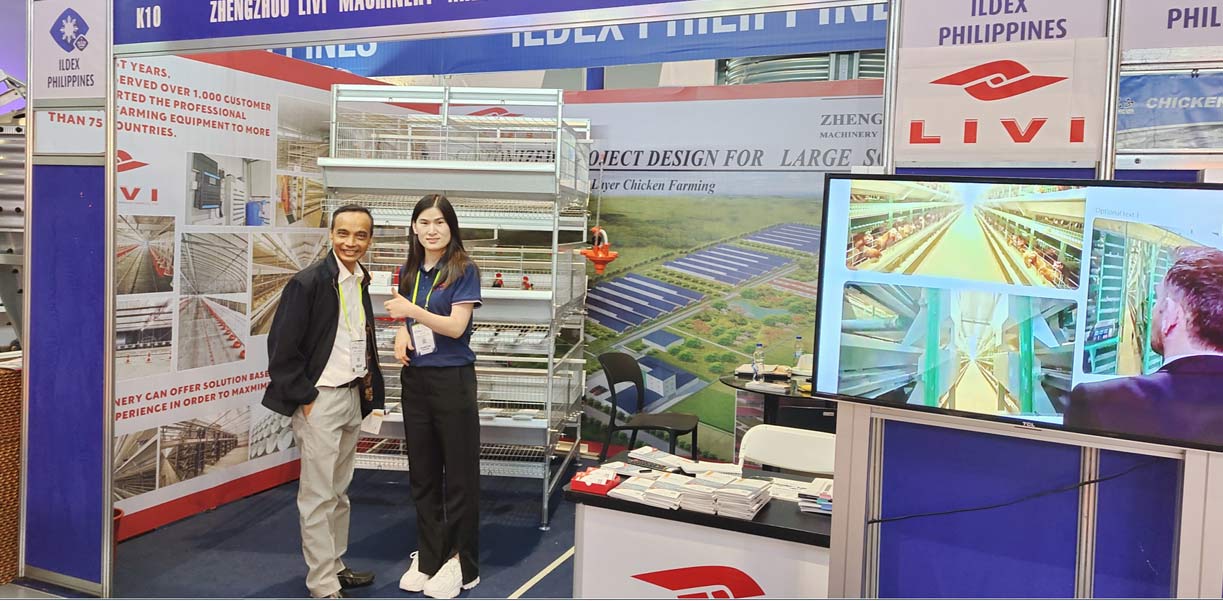 best price chicken layer cage for sale