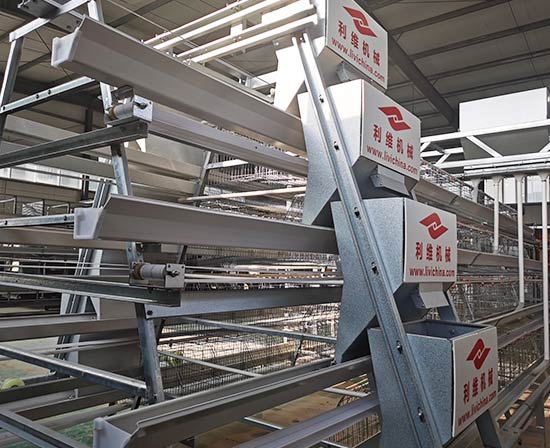 automatic egg collection layer battery cage system 